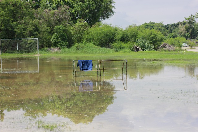 量的影响 量的影响