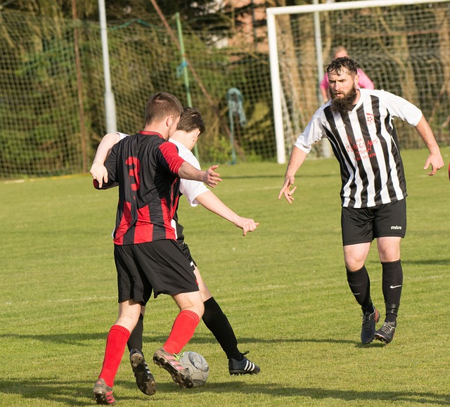 了他的收入 了他的收入