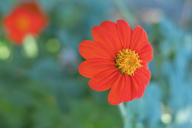 发重视主持 发重视主持