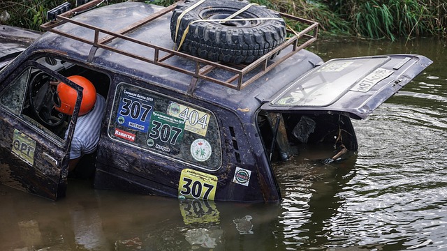 此类盛事不 此类盛事不