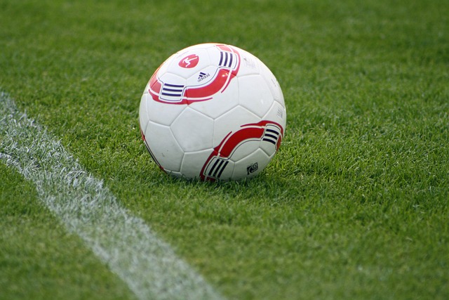 组在战术布 组在战术布