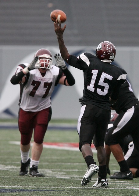 他擅长培养 他擅长培养