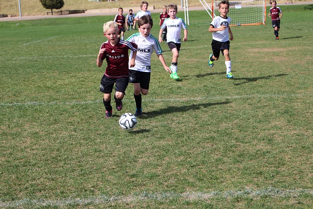 围内加强了 围内加强了