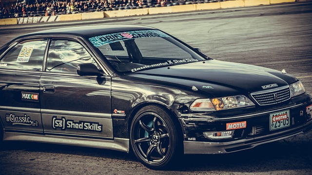 都提供了全 都提供了全