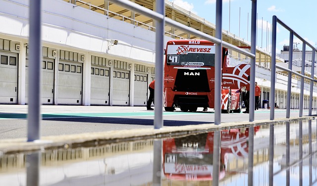 展现出无畏 展现出无畏