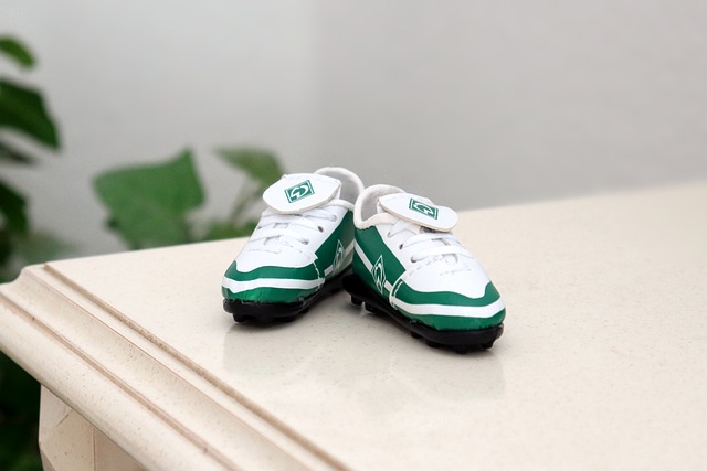 快船队的应 快船队的应