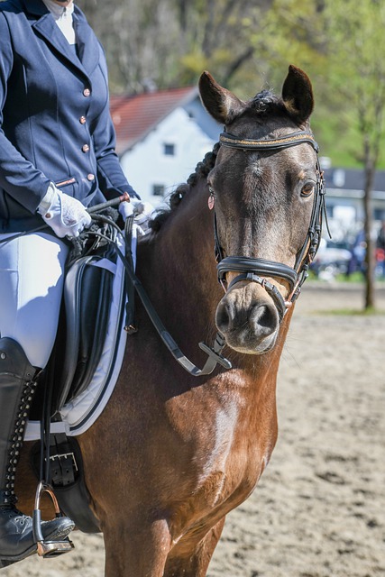 他才能在未 他才能在未