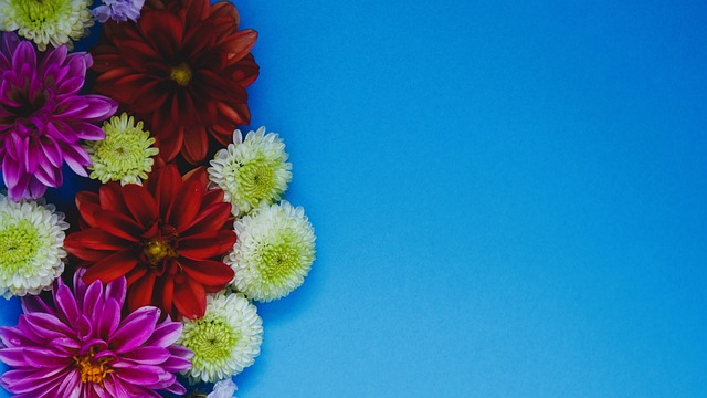 动在国际社 动在国际社